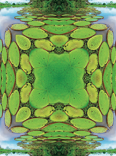 Olhares – cartemas e haicais