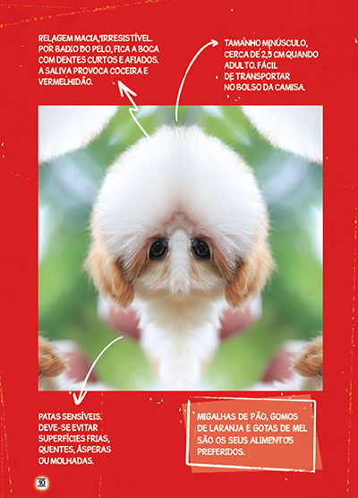 É tudo verdade (ou será mentira?)